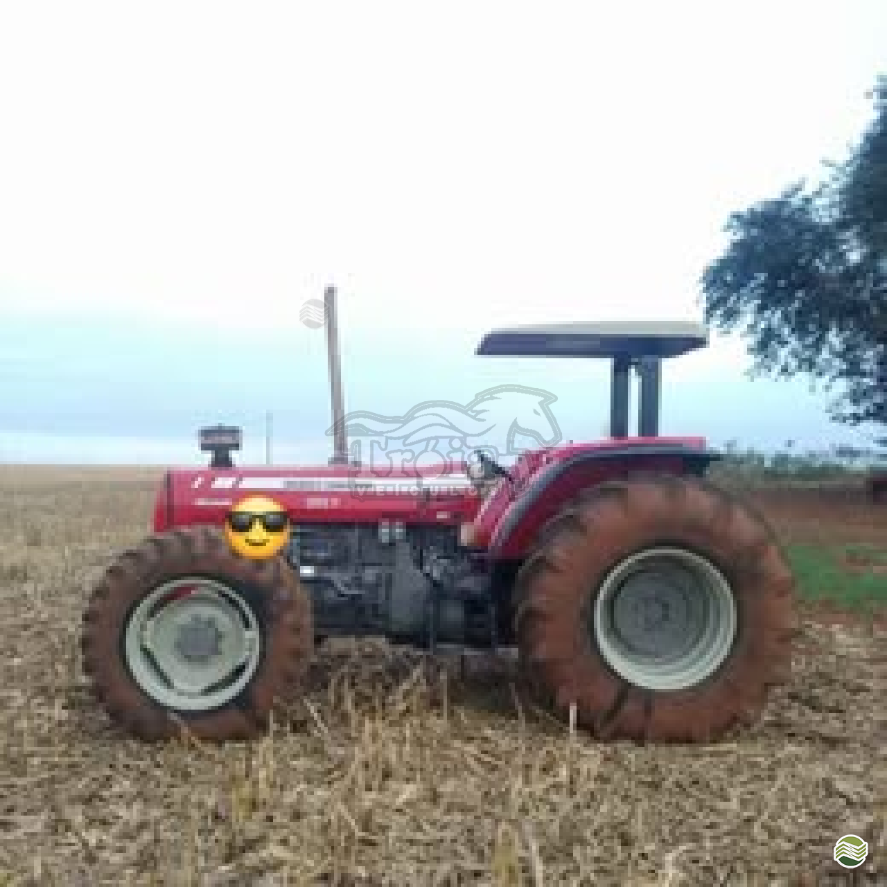 TRATOR MASSEY FERGUSON MF 297 Tração 4x4 Troia Veiculos  PATO BRAGADO PARANÁ PR